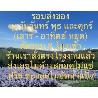 ผงปรุงรสเนื้อ ตราโกเด้ง - โฮเด้ง (1 แพคมี 10 ซอง) ส่งของจันทร์ พุธ ศุกร์