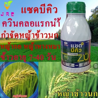 แซดบีคิว 500ซีซี ควินคลอแรก25 กำจัดหญ้าในนาข้าว หญ้าใบแคบ หญ้าข้าวนก หญ้ากอ หญ้าดอกใหญ่ หญ้าหางหมา หญ้าไอ้โต้ง อายุข้าว7