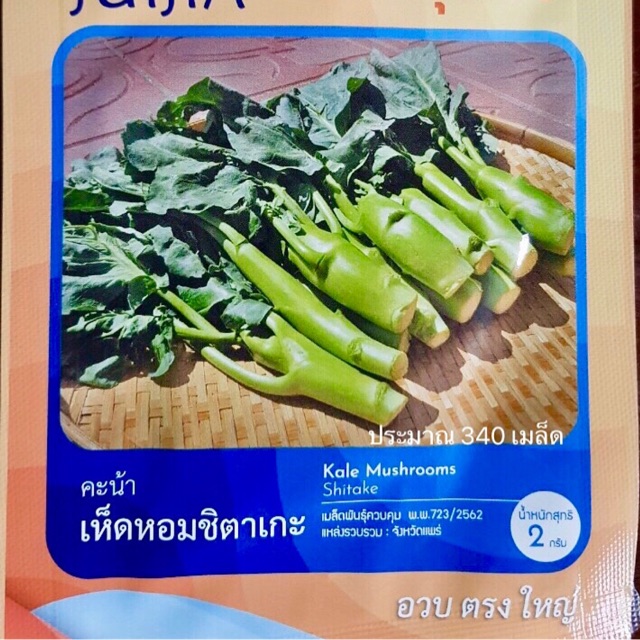 My Image 37