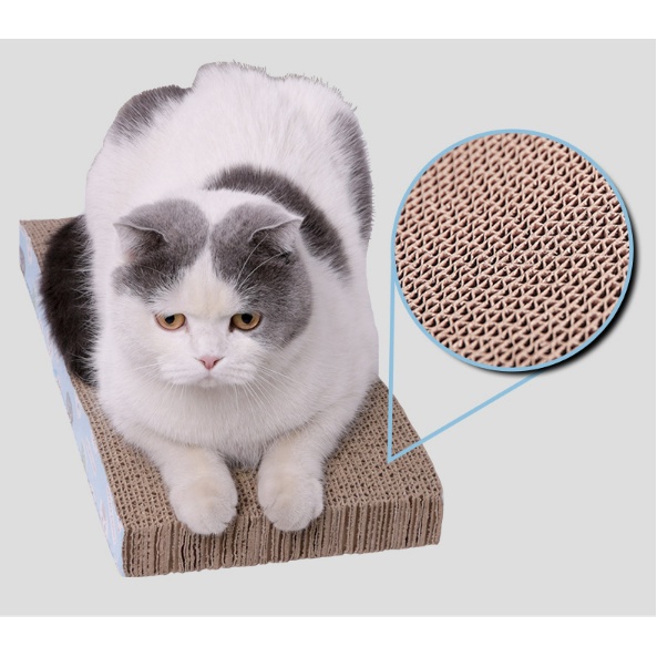 Ming ของเล่นแมว ที่ลับเล็บแมว ที่ฝนเล็บแมว มีหลายแบบให้เลือก ส่งไว - รูปที่ 2