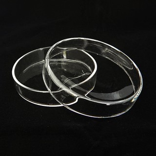 จานเพาะเชื้อแก้วขนาด 75 x 15 mm. (Petri Culture Dish Dia. 75 x 15 mm)