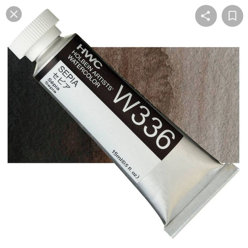 Sepia (W136/336/WW136)  5ml/15ml/60ml Series A สีน้ำโฮลเบน Japan Holbein artist watercolor ホルベイン水彩絵具