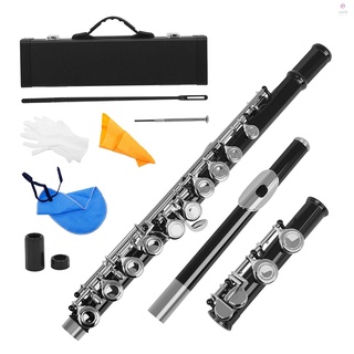 เครื่องดนตรีขลุ่ยนิกเกิ้ล 16 หลุม C Key Woodwind