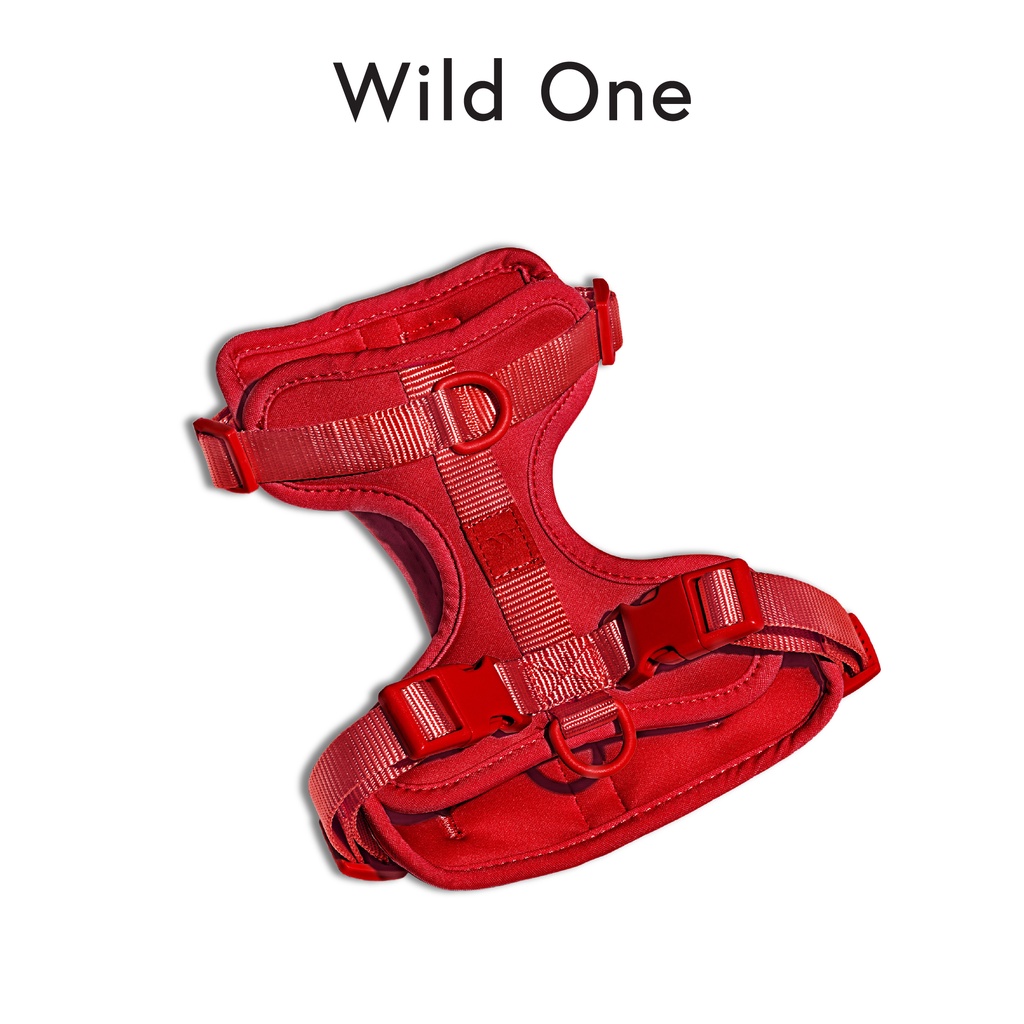 #สายรัดอกสุนัข #WildOne #สายรัดอกสุนัขWildOne #ไลฟ์สไตล์สัตว์เลี้ยง #สินค้าสัตว์เลี้ยง
