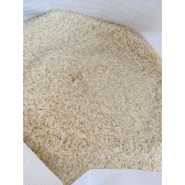 ข้าวหอมมะลิ105 เชียงราย