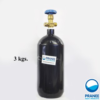 ถังเหล็กคาร์บอน Co2  3 Lสำหรับตู้ไม้น้ำ