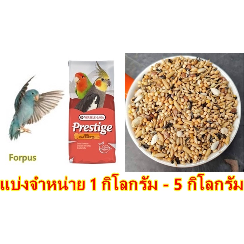 Expert Forpus อาหารสูตรเฉพาะ สำหรับนก ฟอฟัส แบ่งขาย 1 - 3  กิโลกรัม