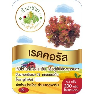 ทำมะชาดฟาร์ม (ซื้อ10แถม1) เมล็ดพันธุ์ เรดคอรัล ขนาด0.2กรัม ประมาณ200เมล็ด RED CORAL เรดโครอล ผักสลัด เมล็ดพันธุ์พืช