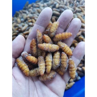 ดักแด้1kgกับจิ้งหรีดไข่1kg​ฟรีค่าลังโฟมครับ​