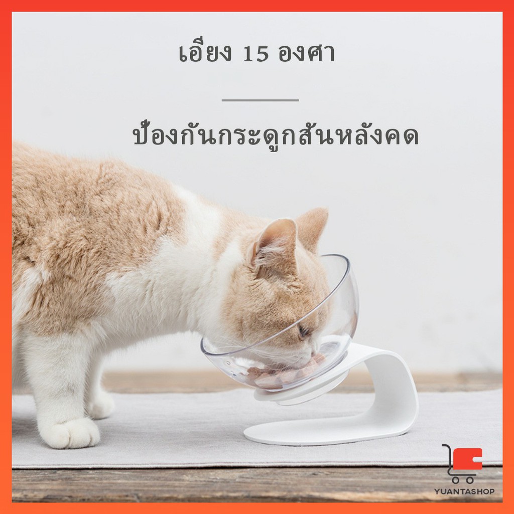 ชามอาหารสัตว์เลี้ยงโปรงใส ฐานแบบคู่/แบบเดี่ยว อุปกรณ์สัตว์เลี้ยง ของใช้สัตว์เลี้ยง Pet bowl
