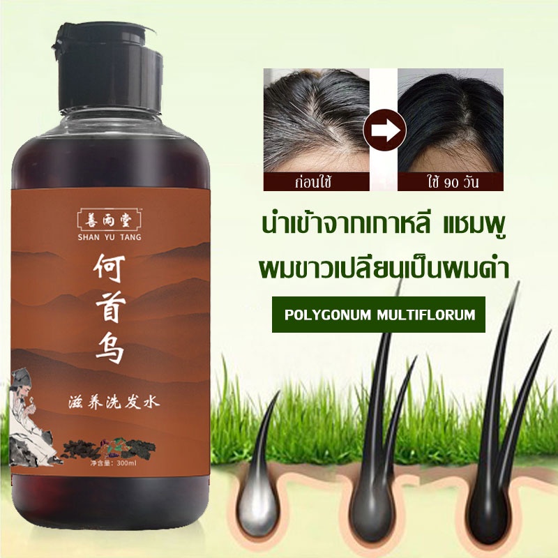 แชมพู แชมพูปลูกผม แชมพูสระผม Polygonum multiflorum สารสกัดจากสมุนไพรบำรุง 300ML แชมพูปลูกผม(064)