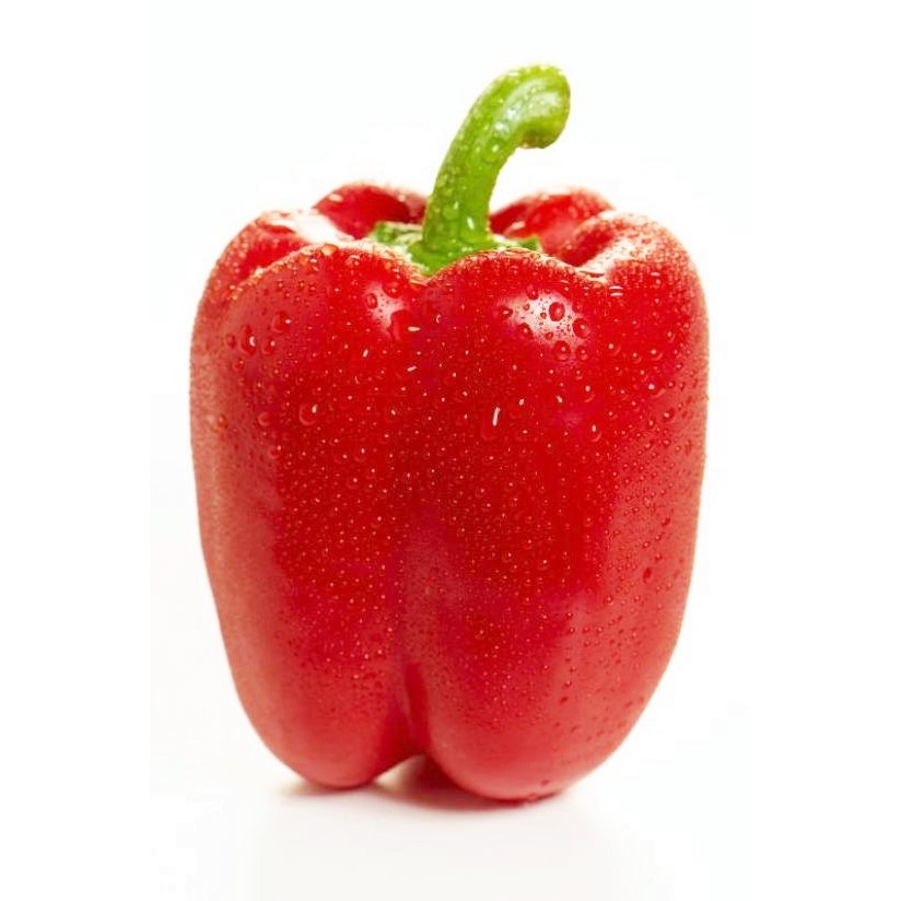 เมล็ด พริกหวานแคลิฟอร์เนียสีแดง - Red Sweet Pepper