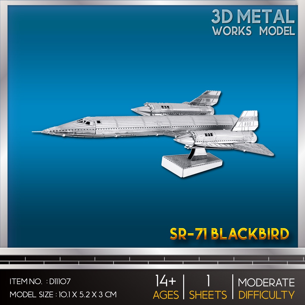 Model Stainless SR-71 Blackbird D11107