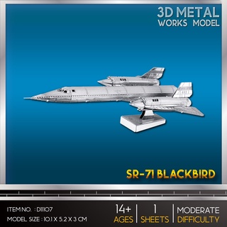 Model Stainless SR-71 Blackbird D11107