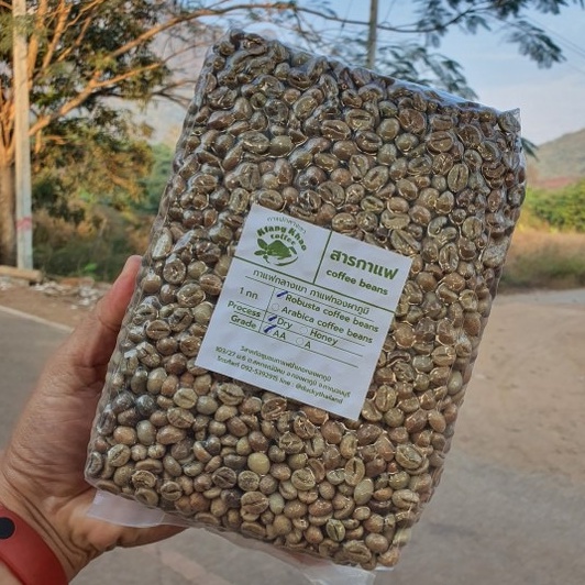 สารกาแฟ โรบัสต้า Fine Robusta coffee beans กาแฟกลางเขา กาแฟทองผาภูมิ (1 กก.)