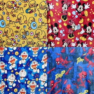 ผ้าห่มลายการ์ตูน Disney ผืนใหญ่