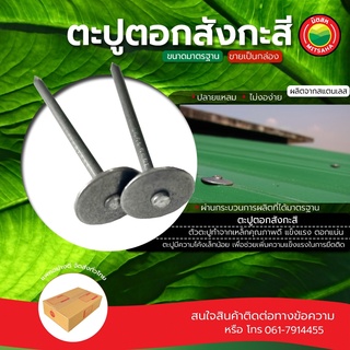 ตะปู ตอก สังกะสี ขายเป็นกล่อง ขนาด 1.3/4 x 13 นิ้ว ROOFING NAIL ตะปูหมวกตะปูร่ม ตะปูตอกสังกะสี ตะปูตี สังกะสี มิตสห