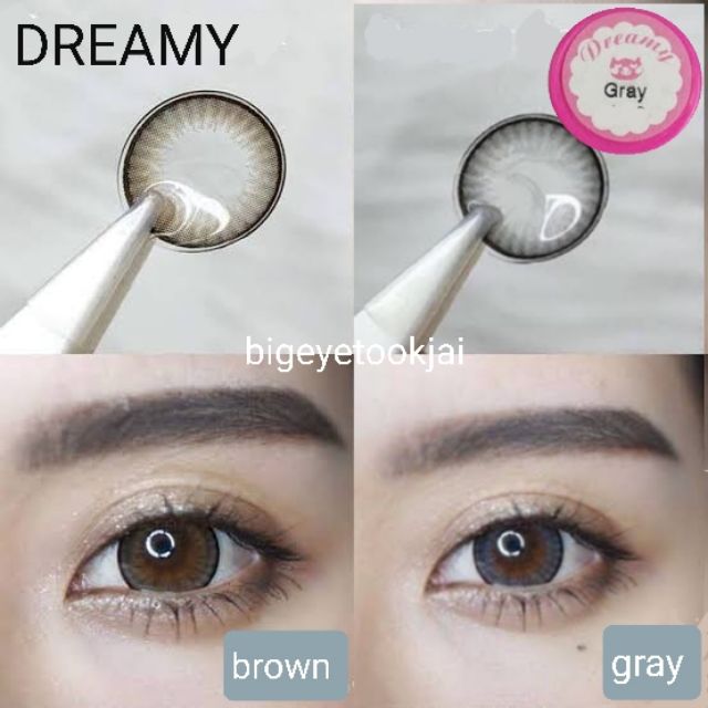 💖 Kitty kawaii ๑ Dreamy big ( 14.5 ) สายตา -00 ถึง -1000 brown gray Contactlens บิ๊กอาย คอนแทคเลนส์ ราคาถูก ฟรีตลับ