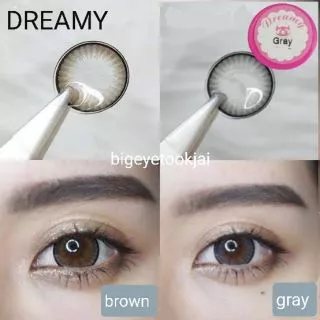 💖 Kitty kawaii ๑ Dreamy big ( 14.5 ) สายตา -00 ถึง -1000 brown gray Contactlens บิ๊กอาย คอนแทคเลนส์ ราคาถูก ฟรีตลับ.