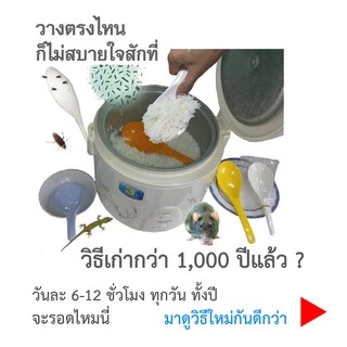 ทัพพีนักคิด รุ่นแนวตั้งฝาคลิก NKSC-02