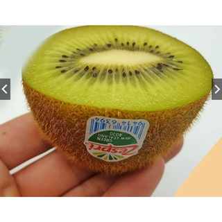 กีวี่เขียว Green KIWI (7ลูก) (FRANCE/NewZealand) ~ลดพิเศษ~ Premium กีวีเขียว นิวซีแลนด์ กีวี่สด ผลไม้กีวี่ ผลไม้สด