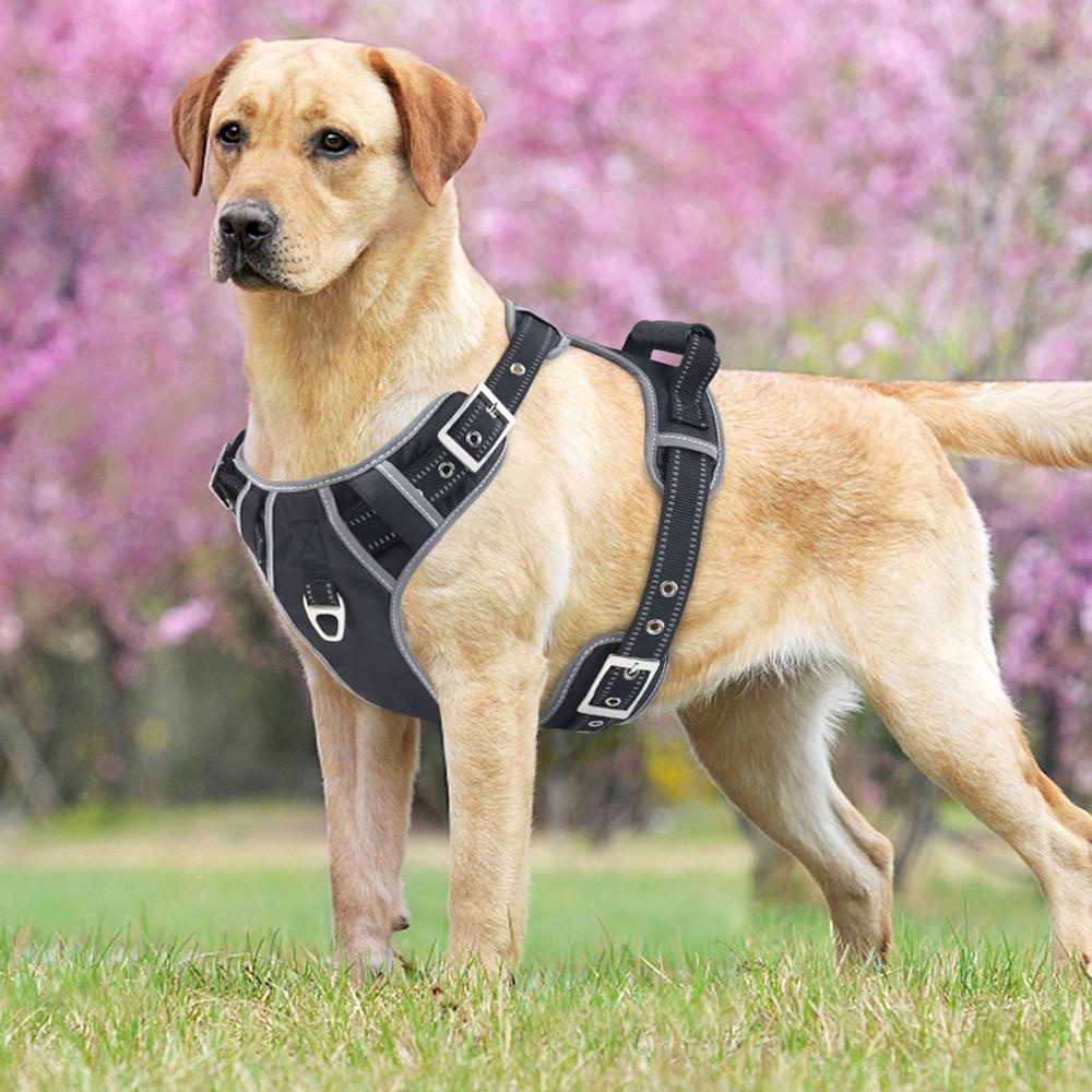 ดึงเชือกเชือกDog Harness Vest Training For uy Dog Suede Soft Breathable