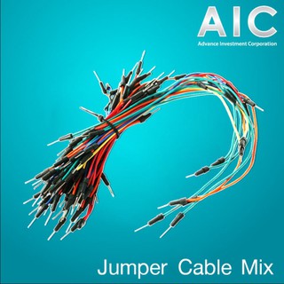 Jumper Cable Mix (Male to Male) สายจัมเปอร์ @ AIC ผู้นำด้านอุปกรณ์ทางวิศวกรรม