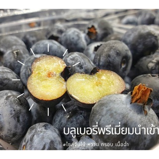 TOP-1บลูเบอรี่นำเข้า Blueberry (1แพค/JUMBO) ~ลดพิเศษ~ Premium ผลไม้สด ที่สุดของบลูเบอร์รี่ บลูเบอรี่สด