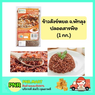 PNR.mart_(1kg) B-HERB บีเฮิร์บ ข้าวสังข์หยด จ.พัทลุง ปลอดสารพิษ ข้าวสาร อาหาร ข้าวเพื่อสุขภาพ Rice