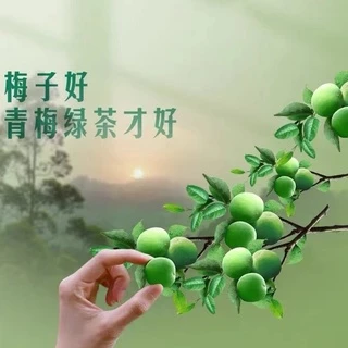 พร้อมส่ง ✔เครื่องดื่ม ชาเขียวบ๊วย 500mlหอมหวาน 统一青梅绿茶