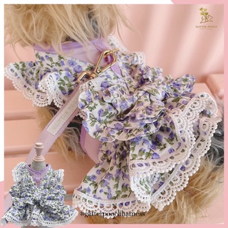 Glitter Pooch ชุดรัดอก สายจูง เสื้อผ้า สุนัข, หมา, แมว, สัตว์เลี้ยง พร้อม สายจูง รุ่น Lolita in Bloom White