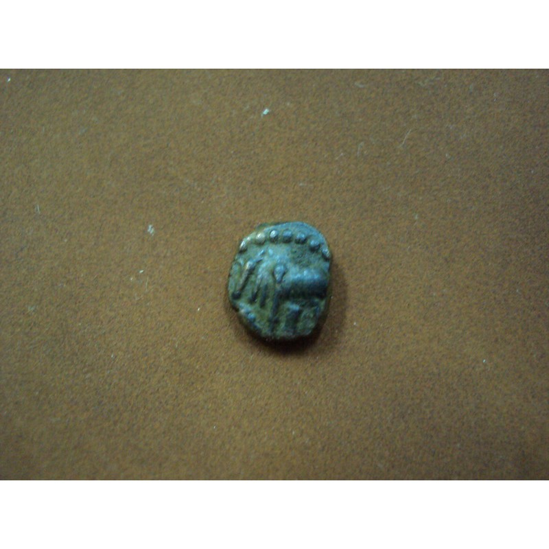 My Image 81