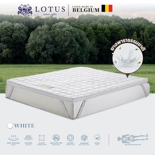 LOTUS ที่นอนยางพารานุ่มแน่น รุ่น Forestex II - White หนา 3 นิ้ว ส่งฟรี