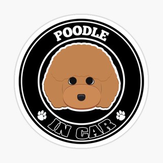 สติ๊กเกอร์ติดรถ แต่งรถ สติ๊กเกอร์ แม่เหล็กติดรถยนตร์ สติ๊กเกอร์หมา Poodle in Car  - DGC12