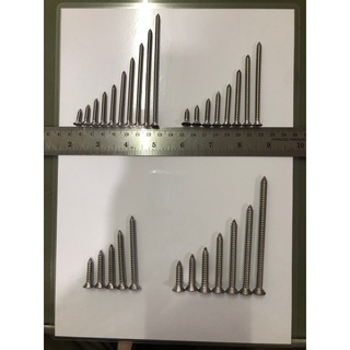 สกรูสแตนเลสหัวจมเกลียวปล่อย F12,F14 ขนาด 1"--4"นิ้ว (1ถุง=10ตัว)