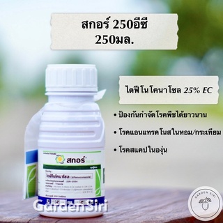 สกอร์ 250อีซี (ไดฟีโนโคนาโซล 25% EC) สารป้องกันกำจัดโรคพืชชกลุ่มไทรอะโซล ขนาด 250มล. ตราซินเจนทา