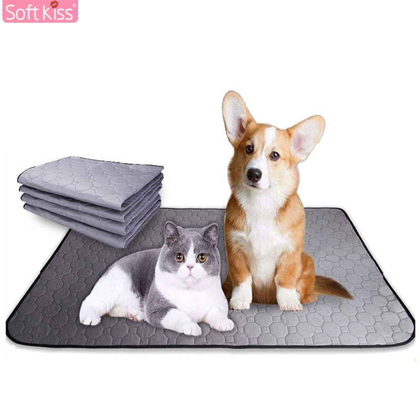 Softkiss แผ่นรองฉี่สุนัข Dog pee pads แผ่นรองฉี่ซักได้ ผ้ารองซับฉี่ แผ่นรองฉี่ซักได้สุนัข ซับกลิ่น ซ