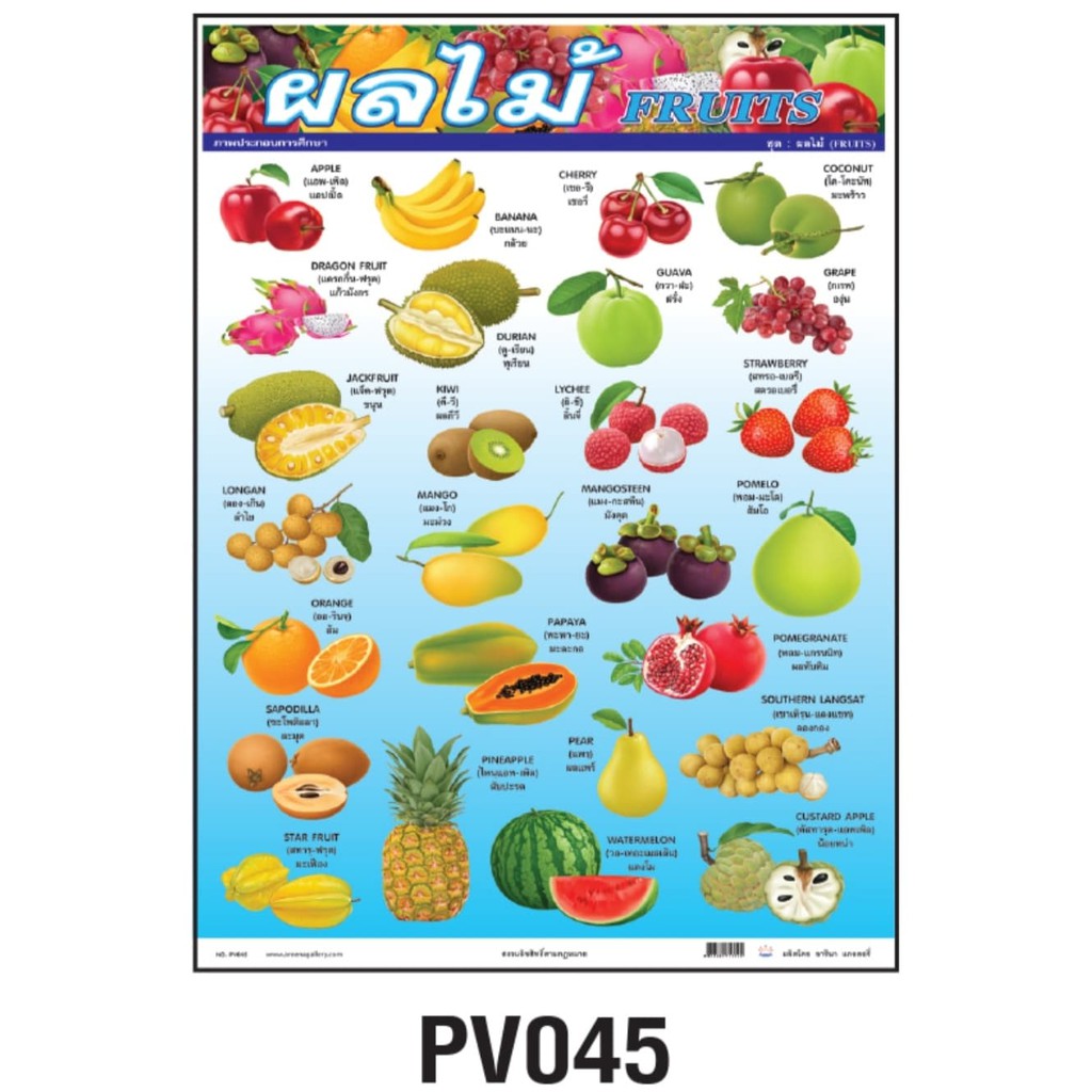 โปสเตอร์ผลไม้ (Fruits) #PV045 โปสเตอร์สื่อการเรียนการสอน โปสเตอร์พลาสติก