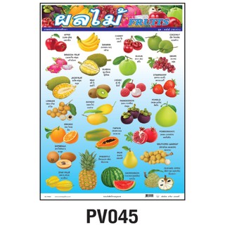 โปสเตอร์ผลไม้ (Fruits)  #PV045 โปสเตอร์สื่อการเรียนการสอน โปสเตอร์พลาสติก