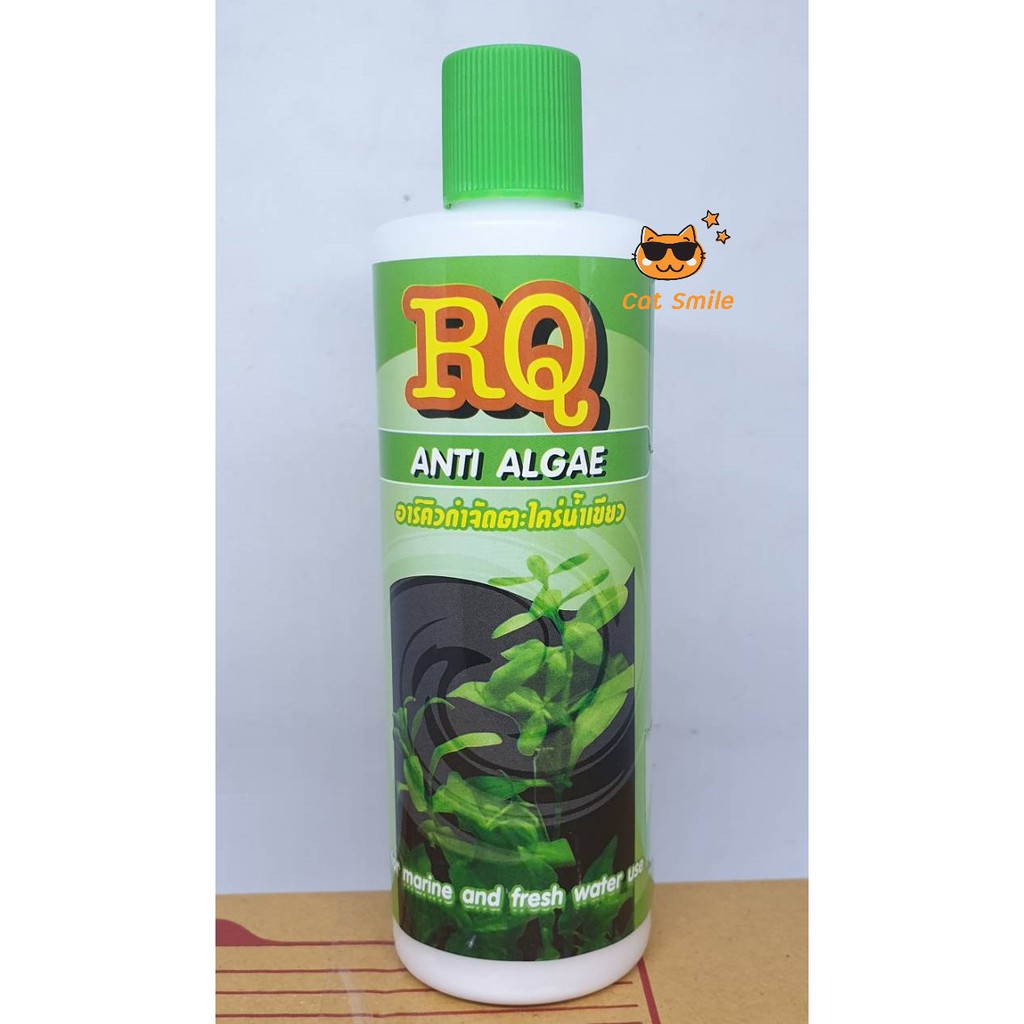 ใหญ่กว่า ขนาดไหม่ 250 มล.RQ Anti Algae อาร์คิว กำจัดตะไคร่น้ำเขียว น้ำยาลดตะไคร่ น้ำเขียว ฆ่าตะไคร่ 