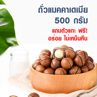 ถั่วแมคคาเดเมีย 500กรัม (แถมที่แกะ) แมคคาเดเมีย แบบมีเปลือก อบพร้อมทาน เนื้อเต็มเม็ด หอม