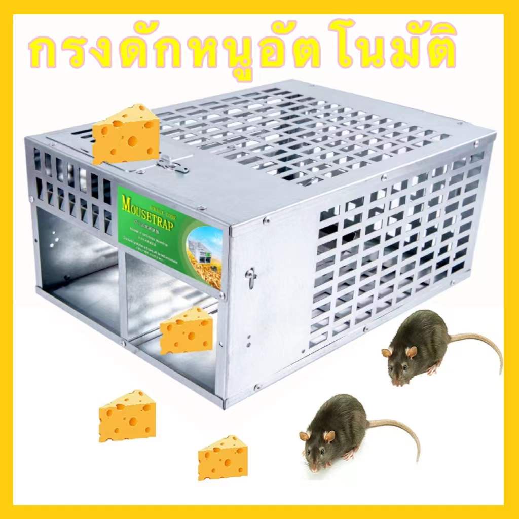 กับดักหนูอย่างต่อเนื่อง กาวดักหนูวิทยาศาอุปกรณ์ดักหนู ที่ดักหนู กับดักหนกับดักหนูสำเร็จรูปถูกสุดๆแบบใช้ซ้ำไไม