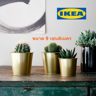 IKEA กระถางต้นไม้ ถังเงินถังทอง เรียบหรูเสริมมงคล