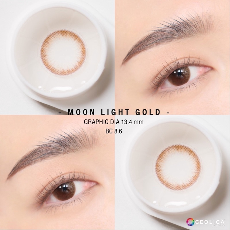 🎖คอนแทคเลนส์แบรนด์ Geolica 🌈🌈รุ่น Moon Light Brown (gold) 💦[ ค่าสายตา ปกติ - สั้น 800 ] พร้อมส่ง🚚