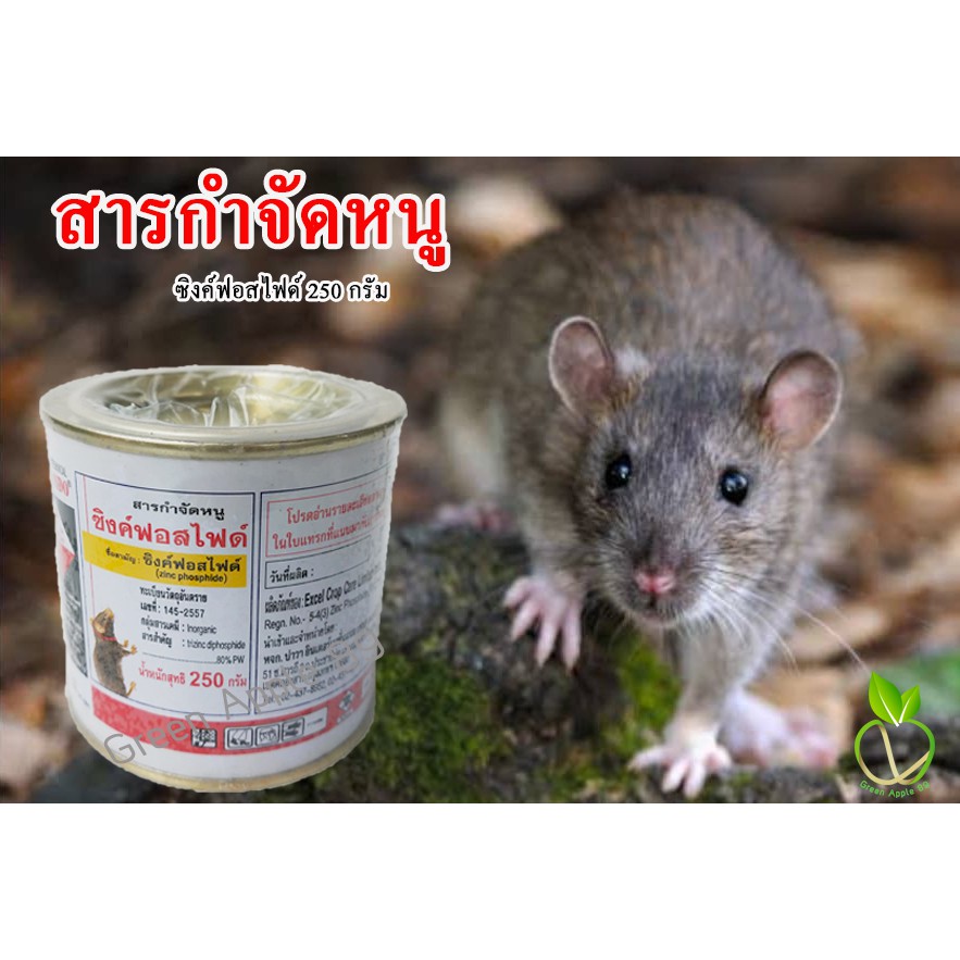 ซิงค์ฟอสไฟด์ ขนาด 500 กรัม  ยาเบื่อหนู เบื่อหนู กำจัดหนู  ฆ่าหนู ยาเบื่อหนูตายแห้ง ดักหนู ยาหนู กำจัดหนูในบ้าน