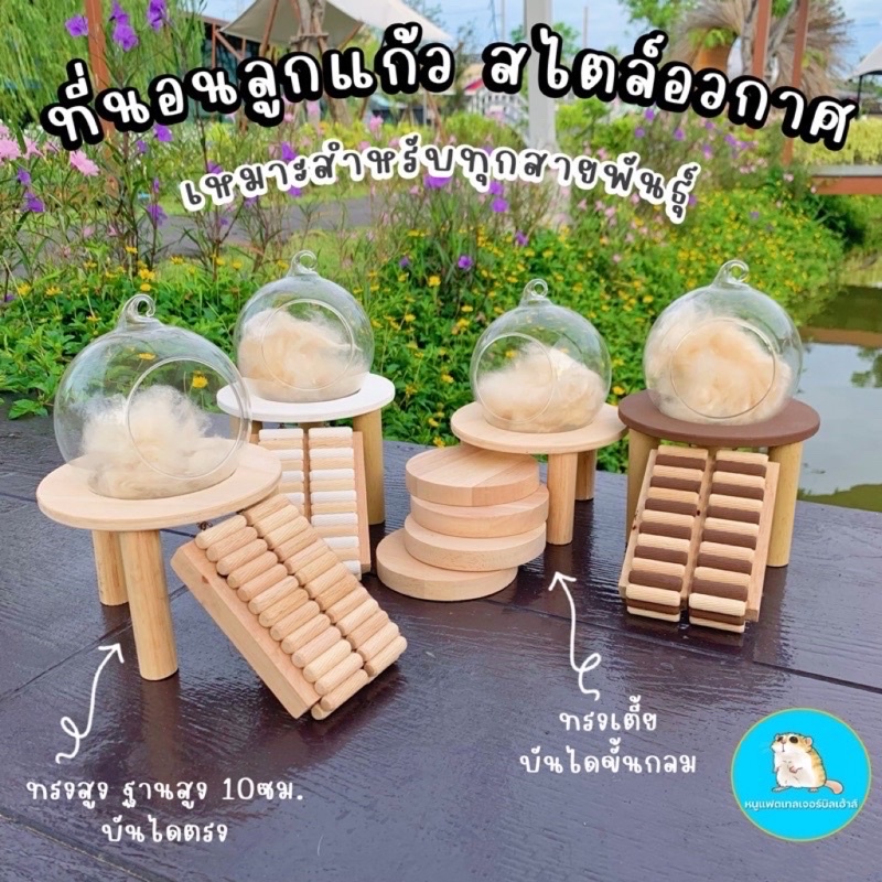 ที่นอนลูกแก้วแฮมเตอร์(โดมแก้ว) สไตล์อวกาศ ใช้ได้ทุกสายพันธุ์