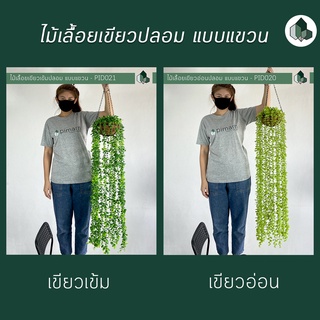 ไม้เลื้อยปลอม 110 CM พร้อมกระถางแขวนใยมะพร้าว