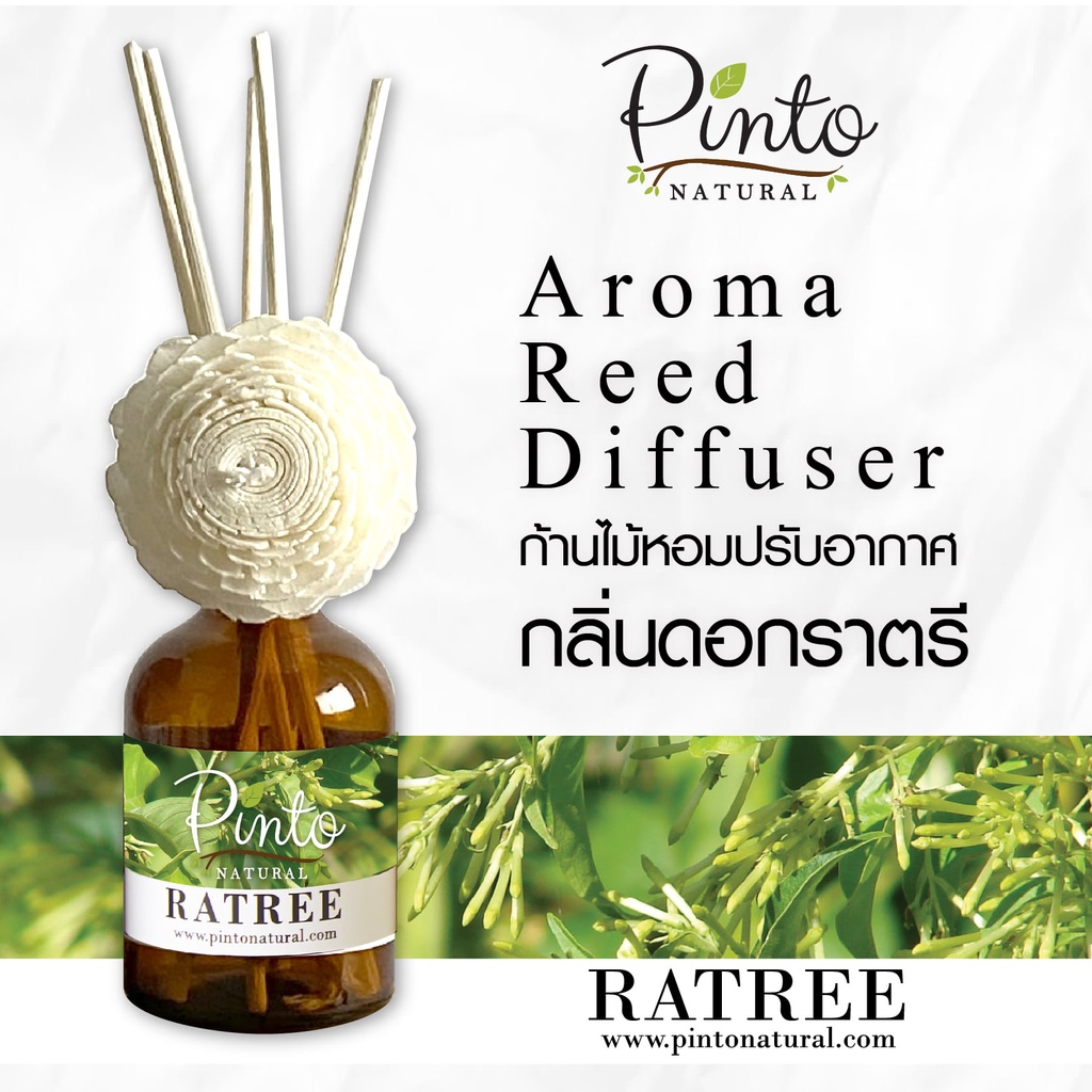 Pinto Natural Reed Diffuser Night Jasmine ก้านไม้หอมปรับอากาศ กลิ่นดอกราตรี ขนาด 50ml. และ 100ml.