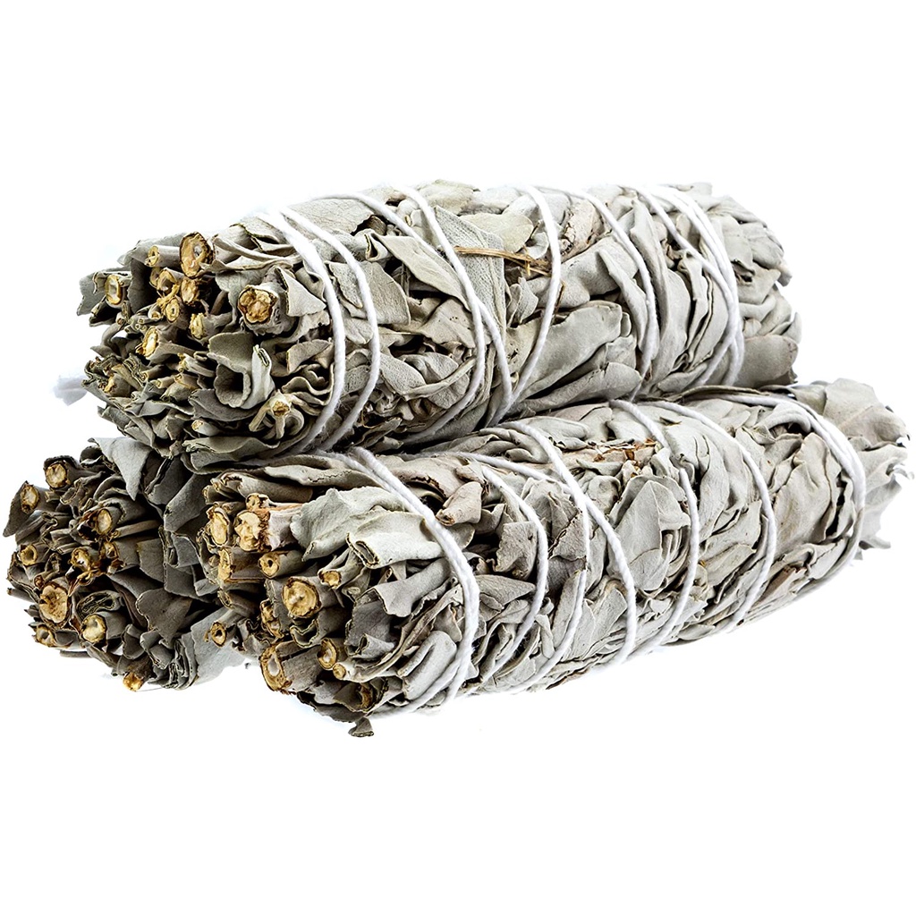 [White Sage] White Sage