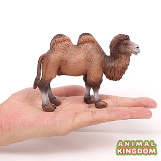 Animal Kingdom - โมเดลสัตว์ อูฐ สองหนอก น้ำตาล ขนาด 12.00 CM (จากหาดใหญ่)